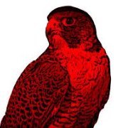 redfalcon