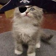 piratekitty