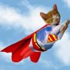 supercat